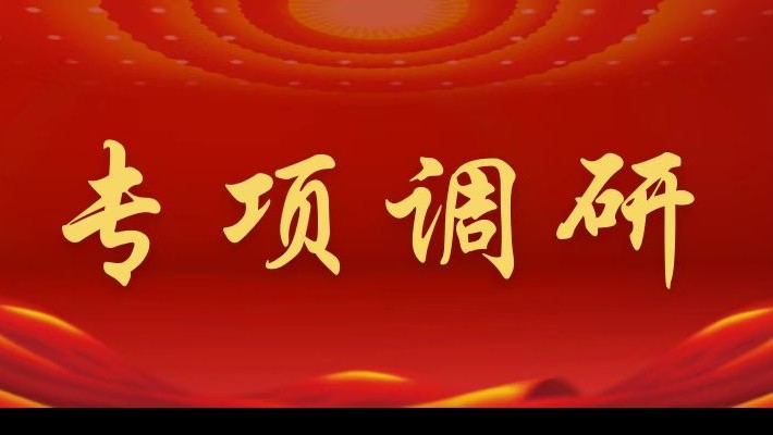【專項(xiàng)調(diào)研】裝備公司領(lǐng)導(dǎo)班子深入康甲公司、康樂項(xiàng)目部調(diào)研督導(dǎo)年度重點(diǎn)工作推進(jìn)落實(shí)情況